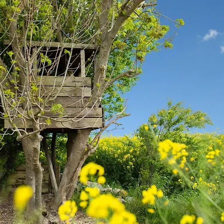 Appartamento Haus Im Felde Whg 3