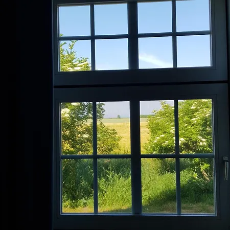Haus Im Felde Whg 3 Appartamento