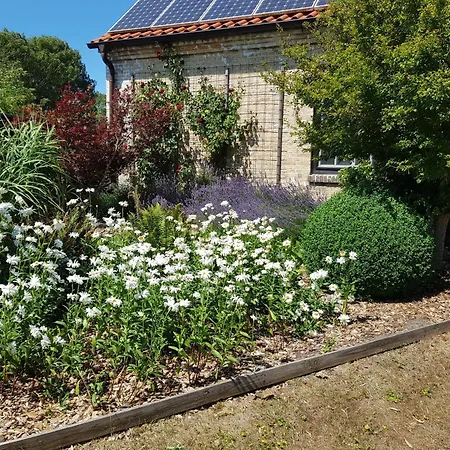 Haus Im Felde Whg 3